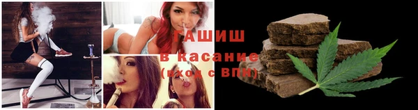 твердый Дмитров