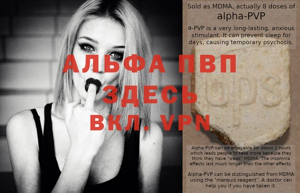 эйфоретик Дмитриев