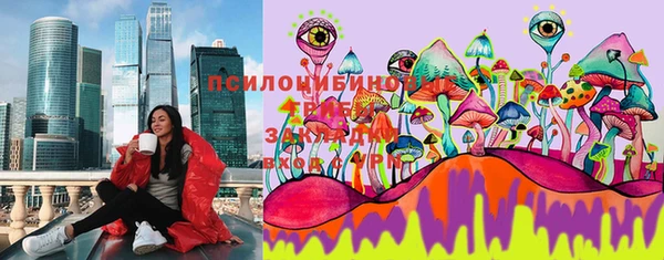 эйфоретик Дмитриев