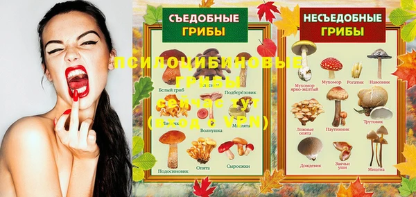 сатива Елабуга