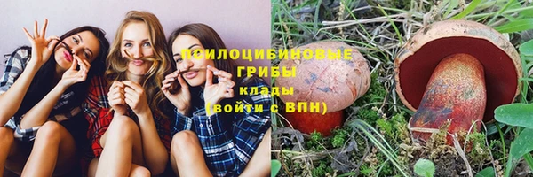 твердый Дмитров