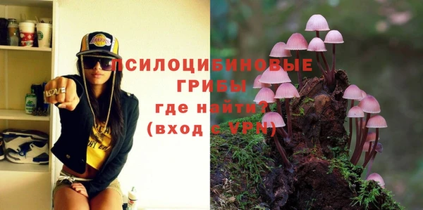 эйфоретик Дмитриев