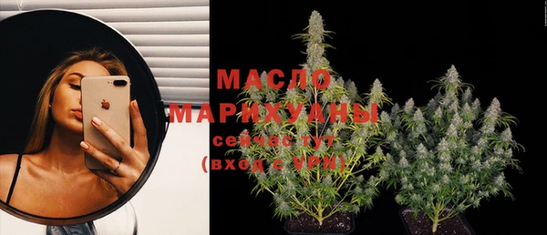 эйфоретик Дмитриев