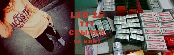 эйфоретик Дмитриев