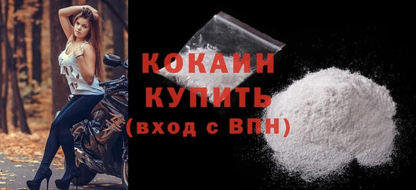 эйфоретик Дмитриев